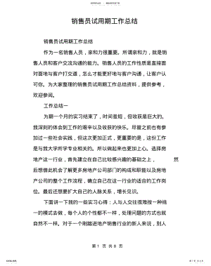 2022年销售员试用期工作总结 .pdf