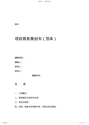 2022年商务策划书-范本 .pdf