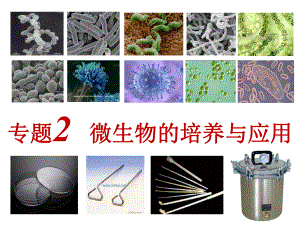 微生物的实验室培养(公开课)ppt课件.ppt