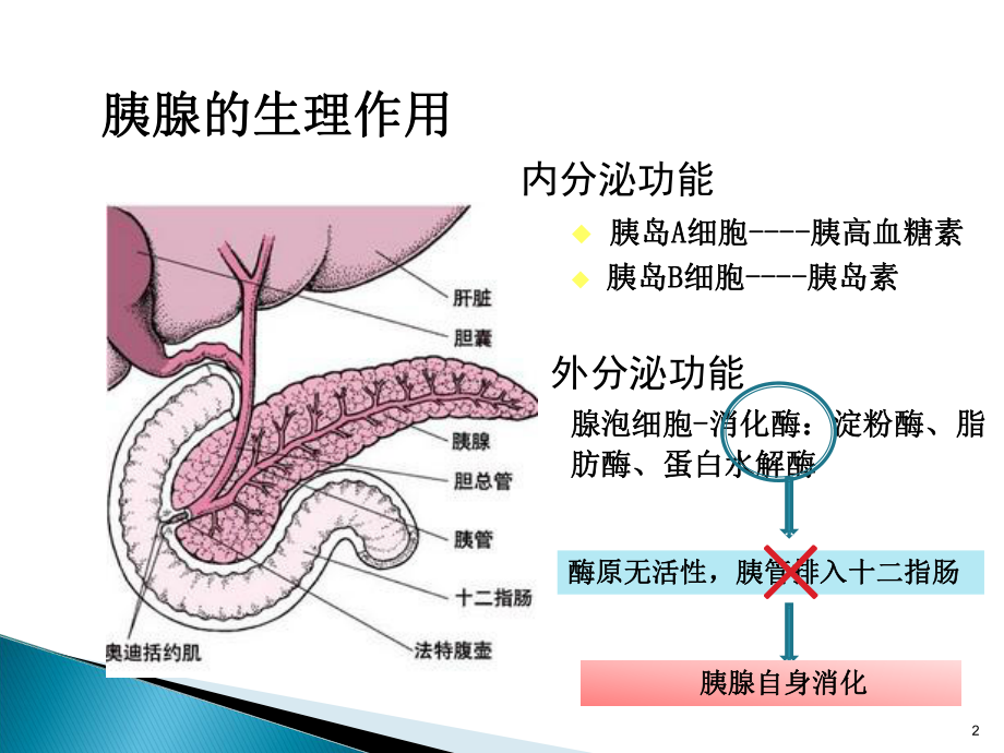 急性胰腺炎---病例分析ppt课件.pptx_第2页