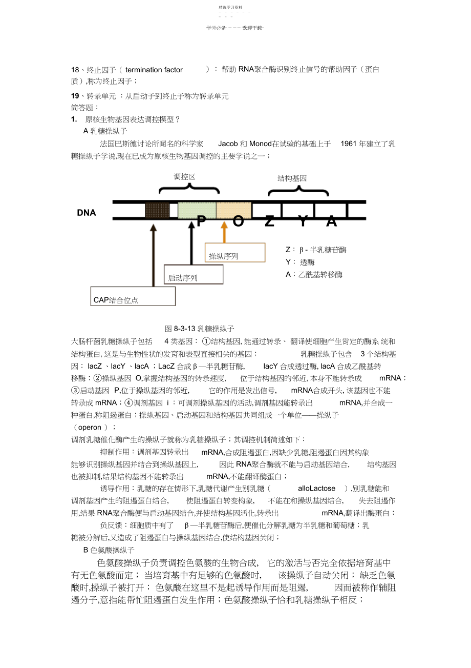 2022年分子生物学重要知识点.docx_第2页