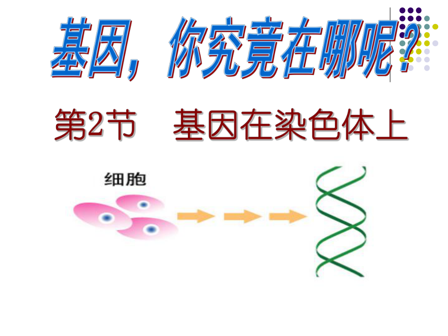 基因在染色体上(2013年公开课)ppt课件.ppt_第1页