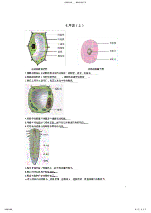 2022年初中生物识图题全面解析 2.pdf