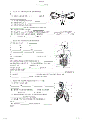 2022年初中生物七年级下册复习资料-填图.docx