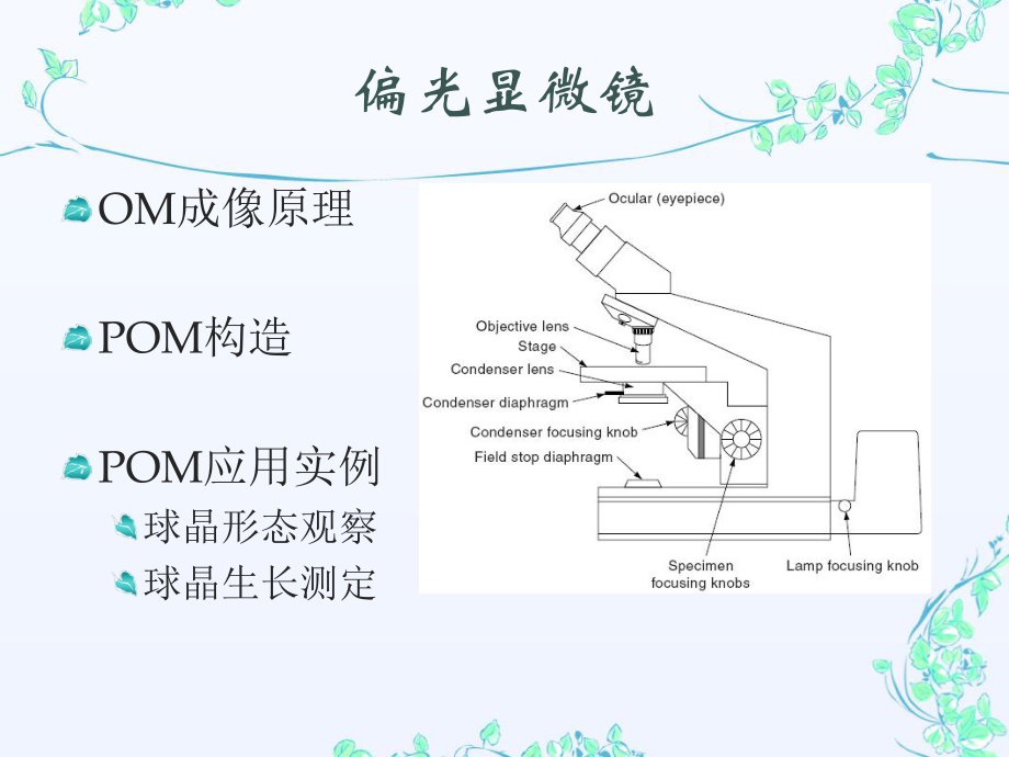 偏光显微镜ppt课件.ppt_第2页