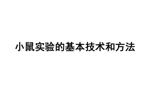 小鼠实验的基本技术和方法ppt课件.ppt