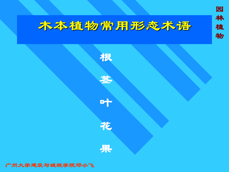 园林植物基础ppt课件.ppt_第2页