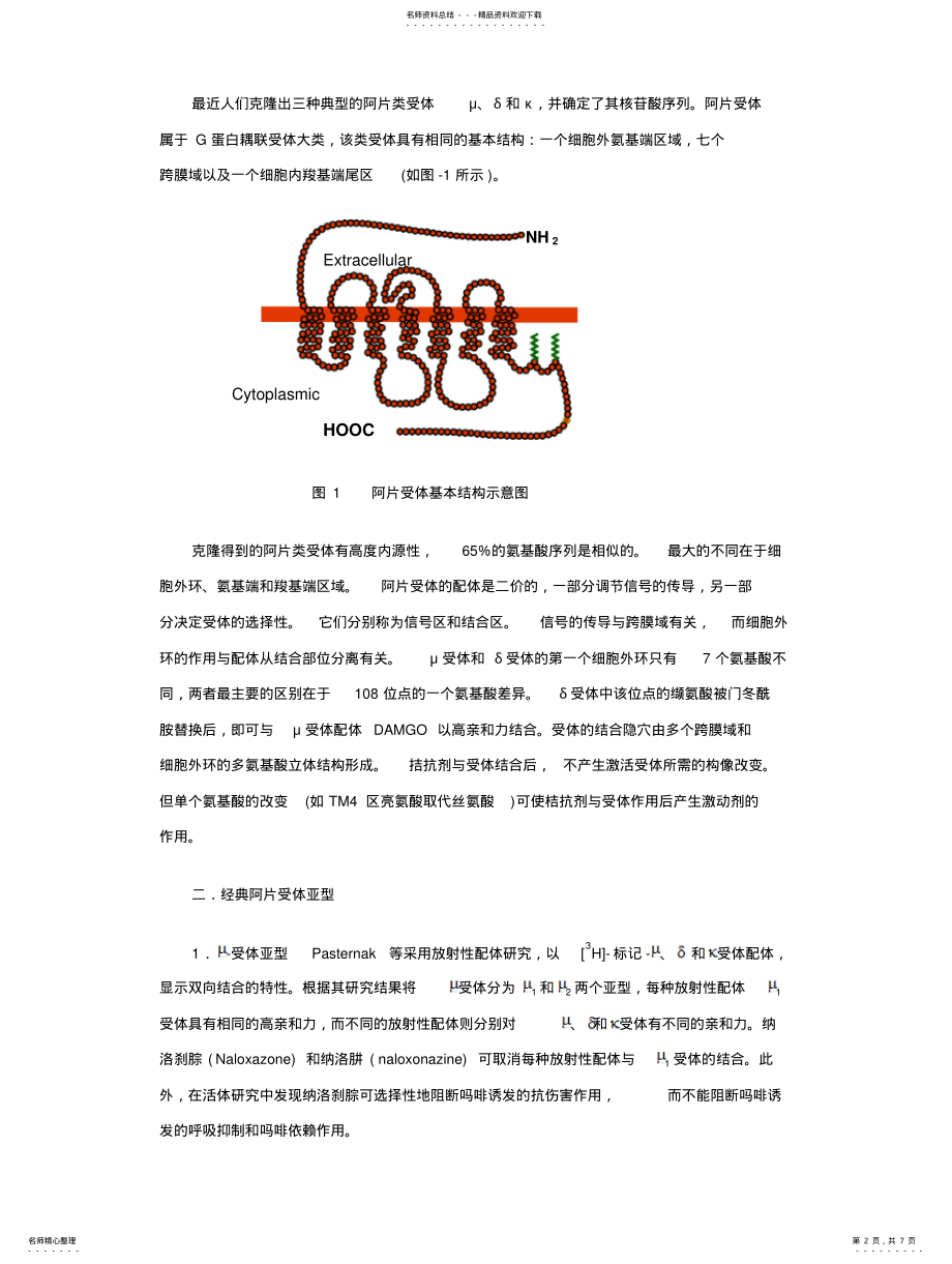 2022年阿片受体研究进展 .pdf_第2页