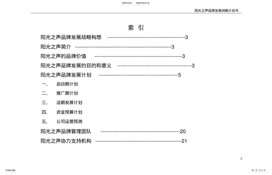 2022年阳光之声品牌发展战略计划书 .pdf_第2页