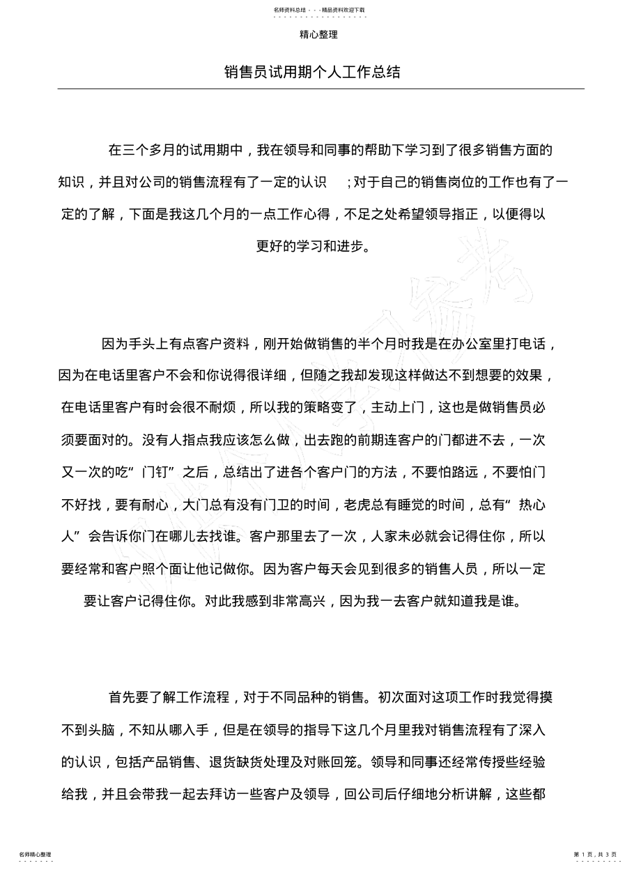 2022年销售员试用期个人工作总结 .pdf_第1页