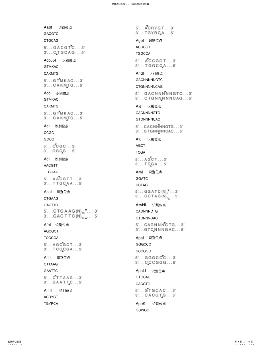 2022年限制性内切酶酶切位点方便搜索 .pdf_第1页