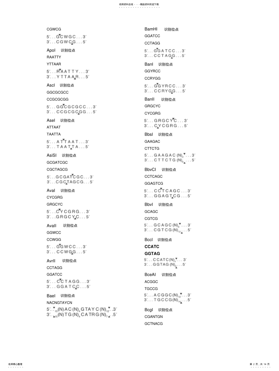 2022年限制性内切酶酶切位点方便搜索 .pdf_第2页
