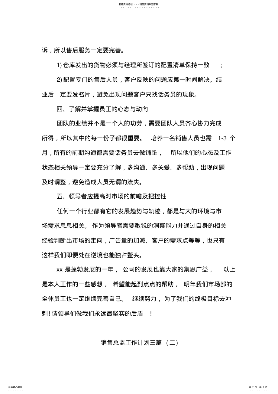 2022年销售总监工作计划三篇 .pdf_第2页