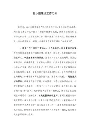 党小组建设工作汇报.docx