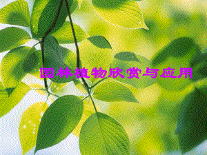 园林植物欣赏与应用ppt课件.ppt