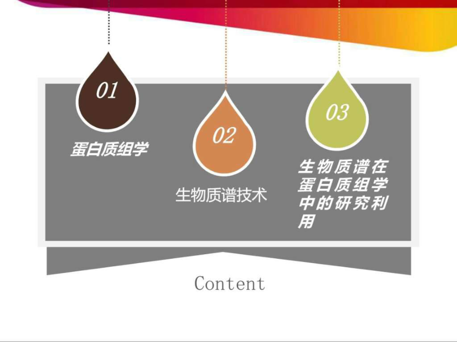 基于质谱的蛋白质组学分析ppt课件.ppt_第2页