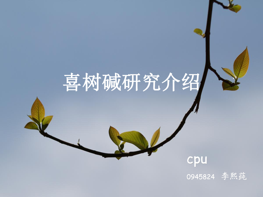 喜树碱综合探讨ppt课件.ppt_第1页