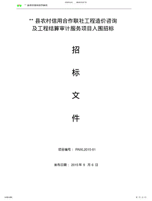 2022年造价咨询及审计招标文件 .pdf