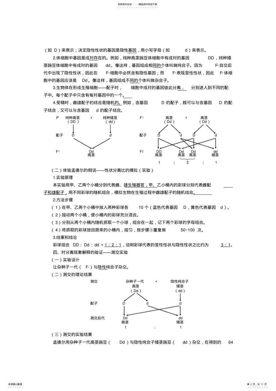 2022年遗传因子的发现 2.pdf_第2页