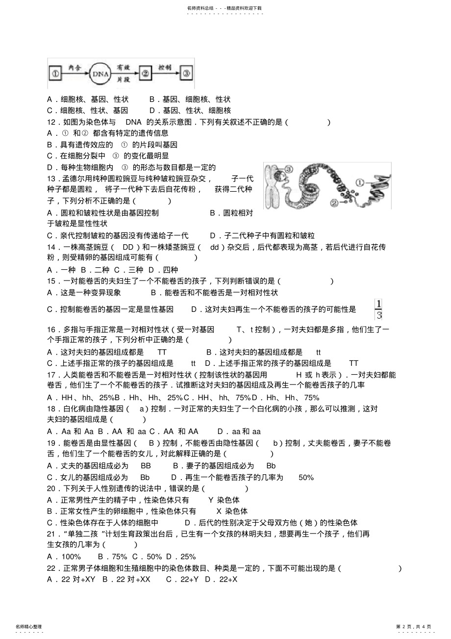 2022年八年级下册第二章生物的遗传和变异学情调研 .pdf_第2页