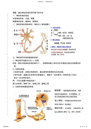 2022年通过神经系统的调节复习知识点 .pdf