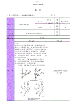 2022年动画运动规律第一周教案.docx