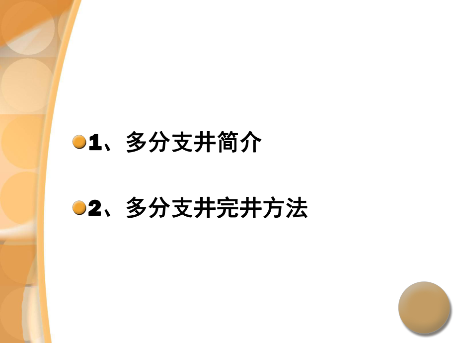 多分支井完井方法吕抒桓ppt课件.ppt_第2页