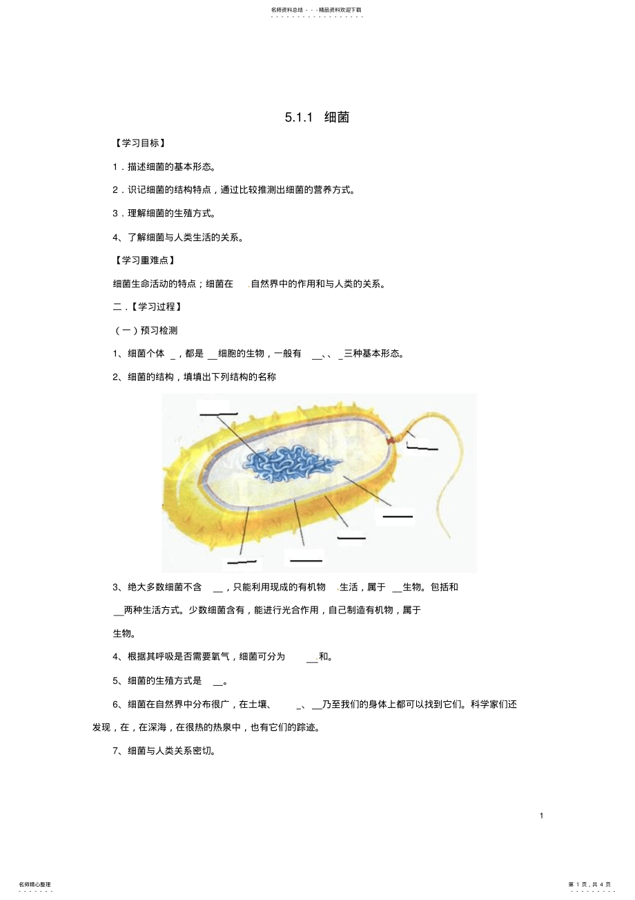 2022年八年级生物上册__细菌导学案冀教版 .pdf_第1页