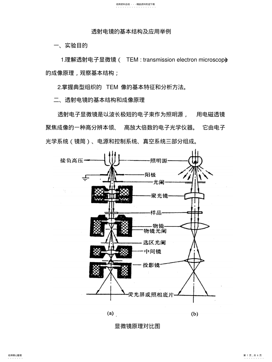 2022年透射电镜的结构和应用 .pdf_第1页