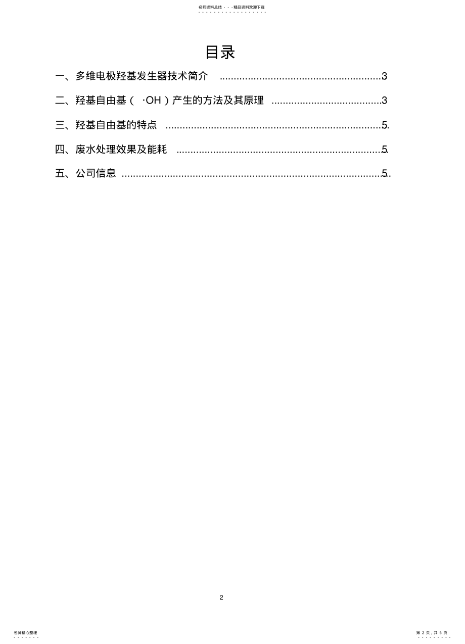 2022年多维电极羟基发生器 .pdf_第2页