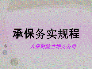 投保方案设计与明ppt课件.ppt