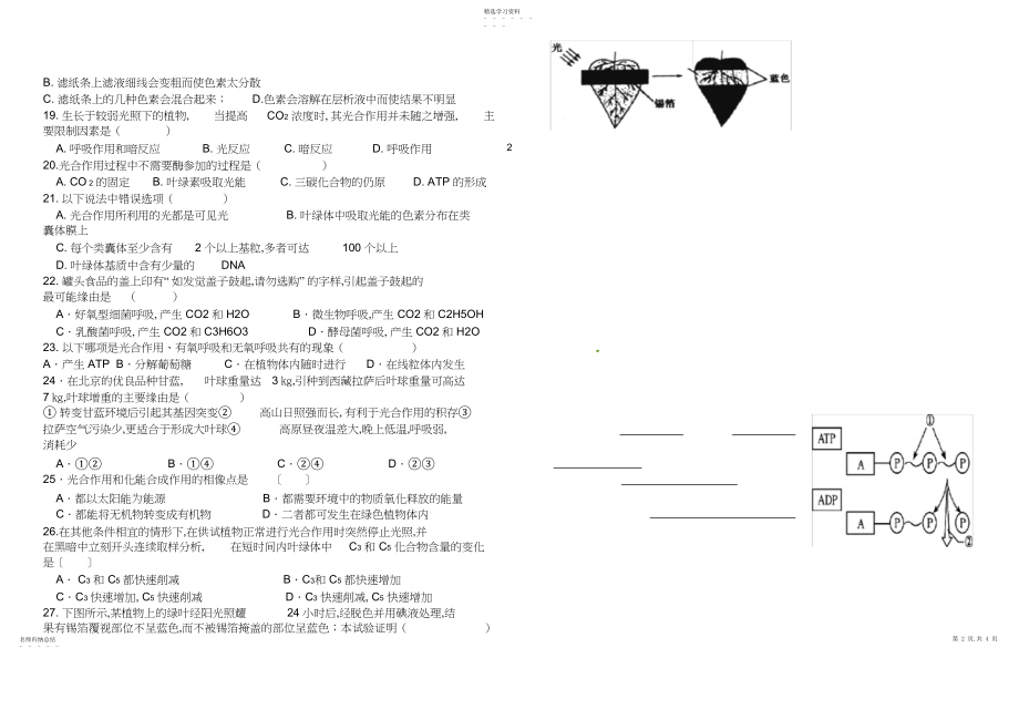 2022年高一生物必修一第五章测试.docx_第2页