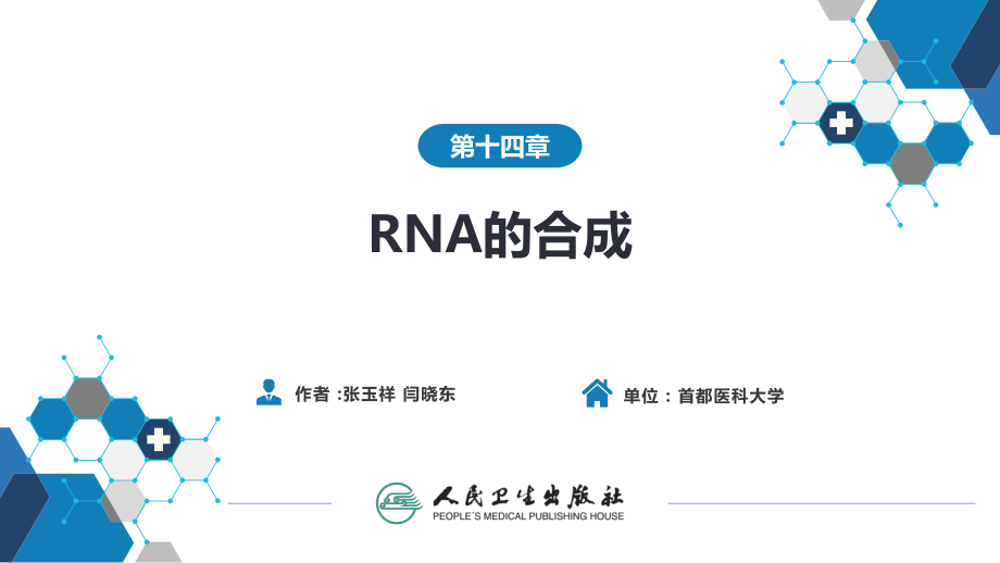 生物化学及分子生物学(人卫第九版)-14-RNA的合成ppt课件.ppt_第1页