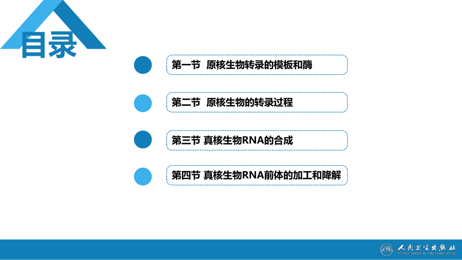 生物化学及分子生物学(人卫第九版)-14-RNA的合成ppt课件.ppt_第2页