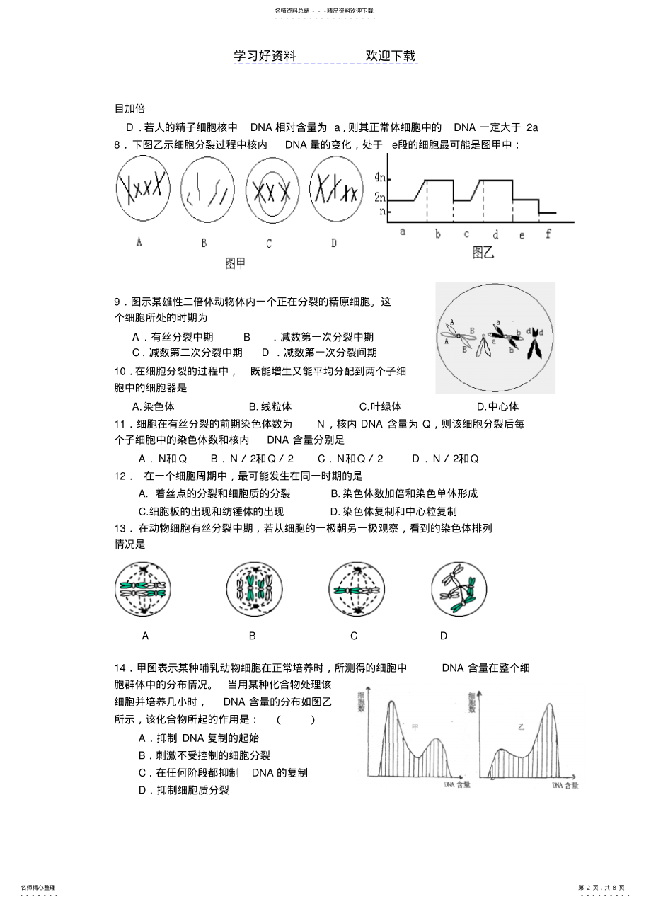 2022年高三生物细胞增殖练习题及答案 .pdf_第2页