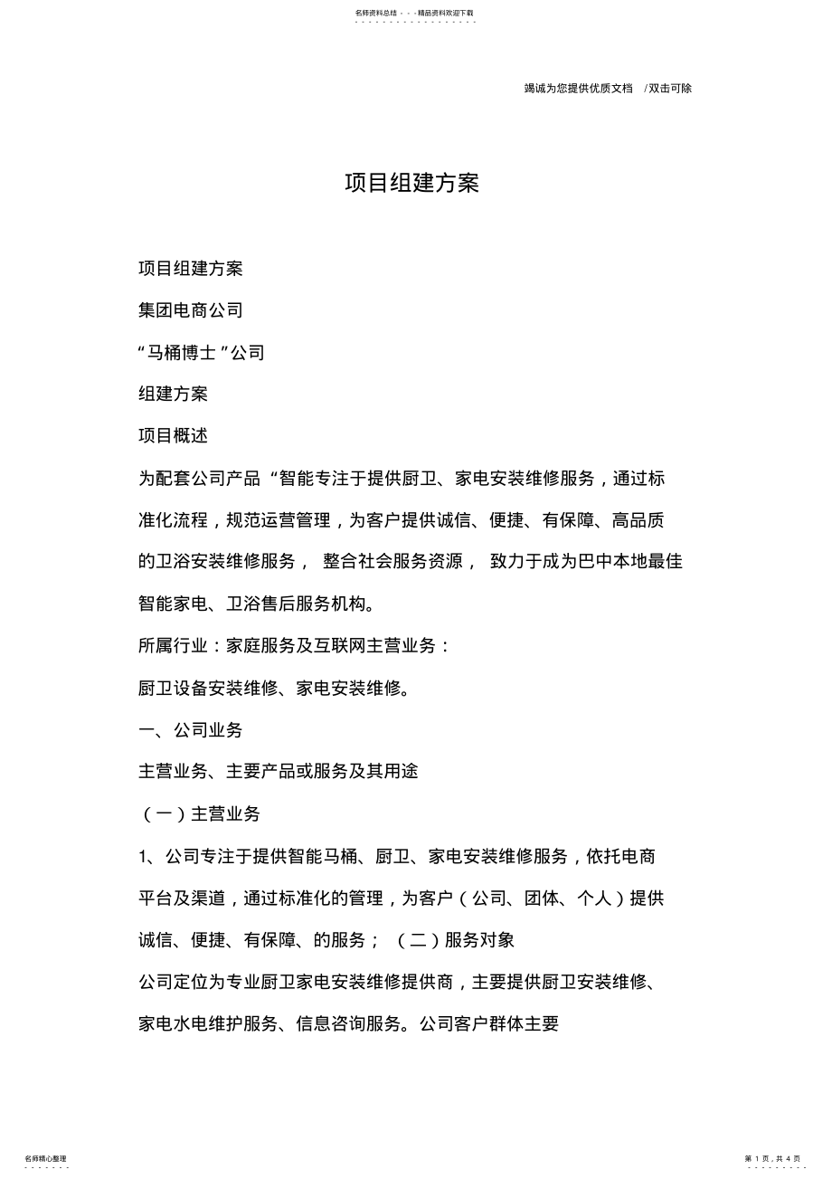 2022年项目组建方案 .pdf_第1页