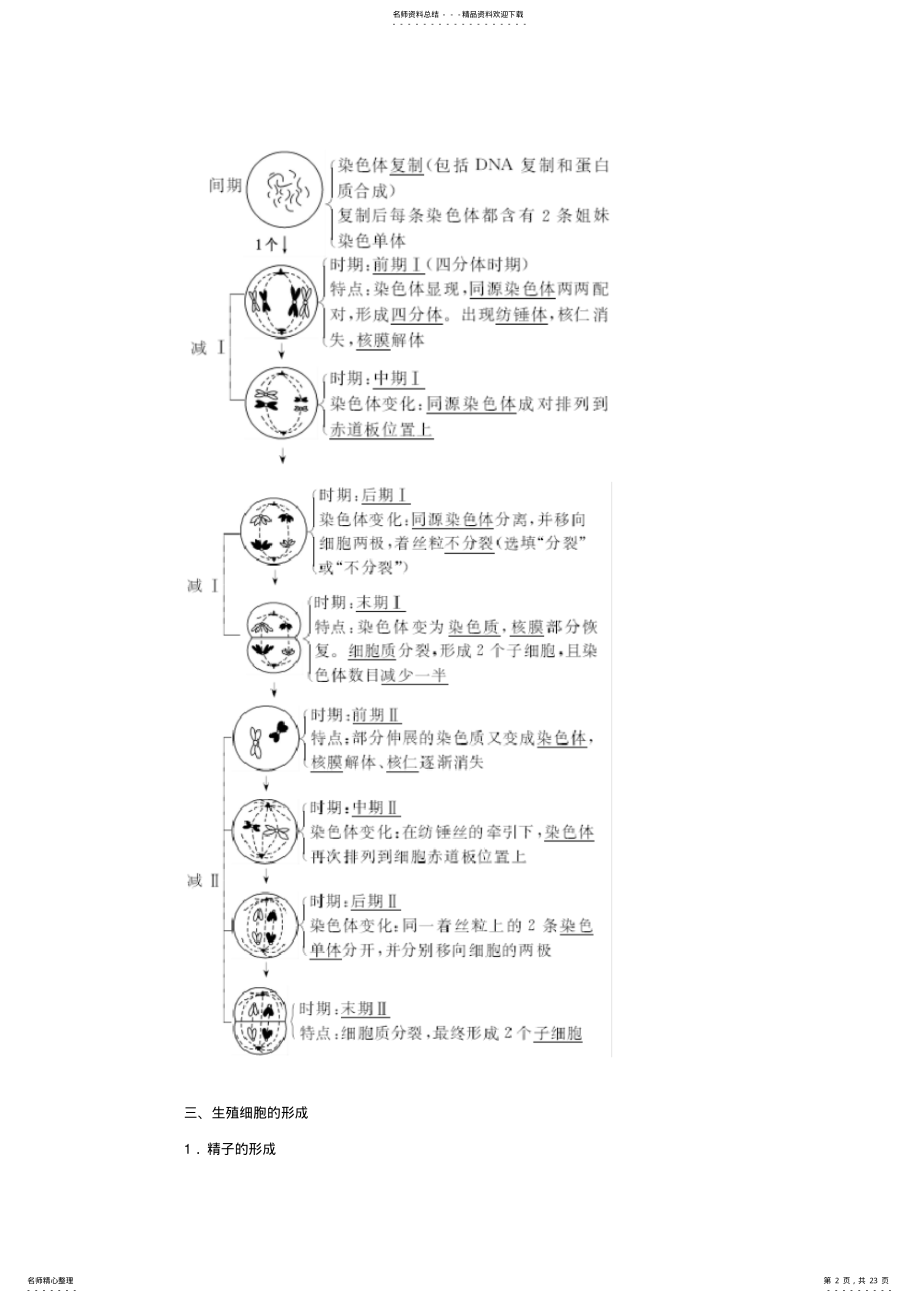 2022年高一生物苏教版必修二教学案：第二章第一节减数分裂 .pdf_第2页