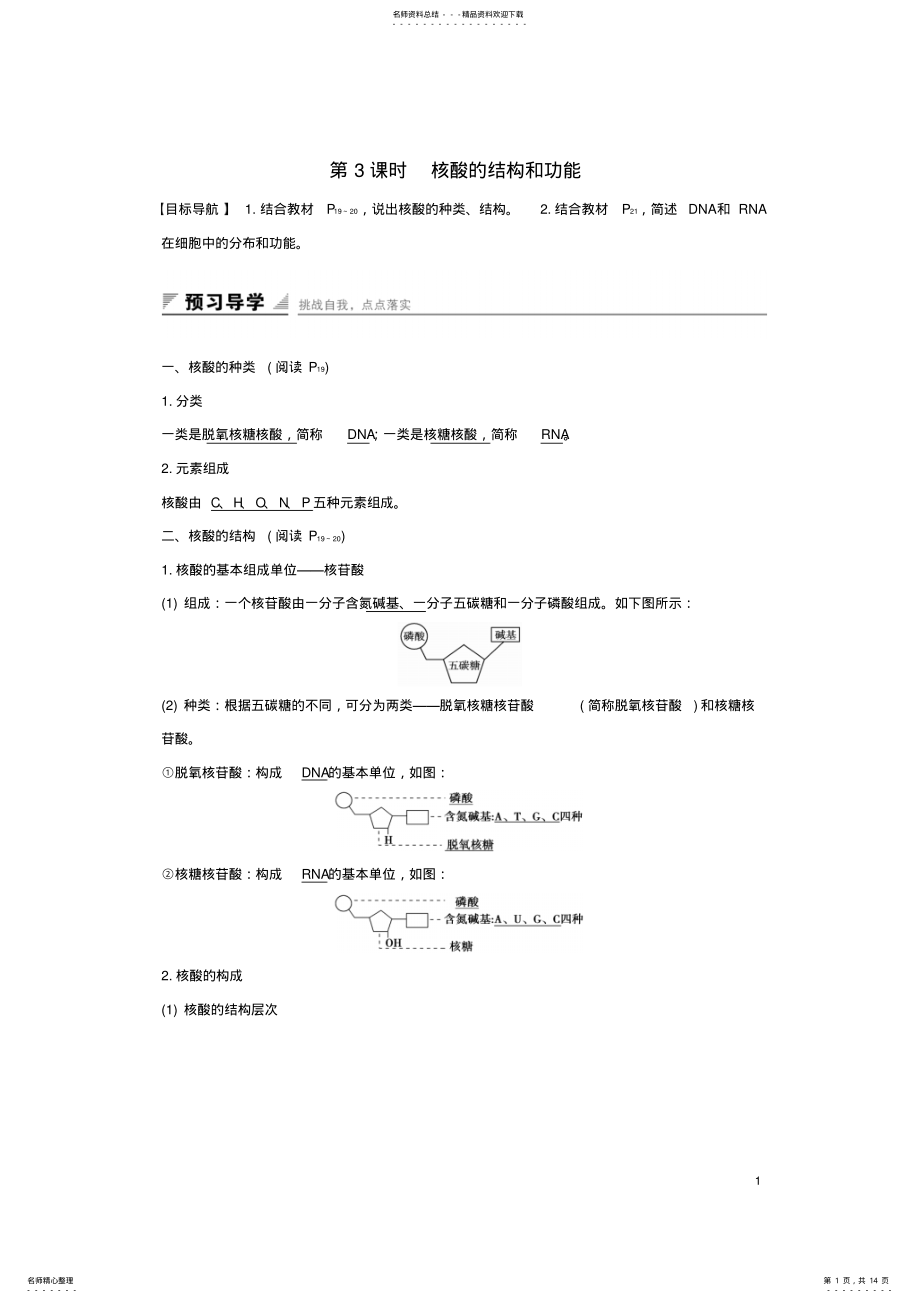 2022年高中生物第二章细胞的化学组成第二节细胞中的生物大分子核酸的结构和功能练习苏教版必修 .pdf_第1页