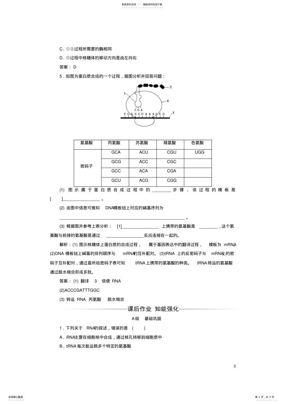 2022年高中生物基因的表达基因指导蛋白质的合成检测试题新人教版必修 .pdf_第2页