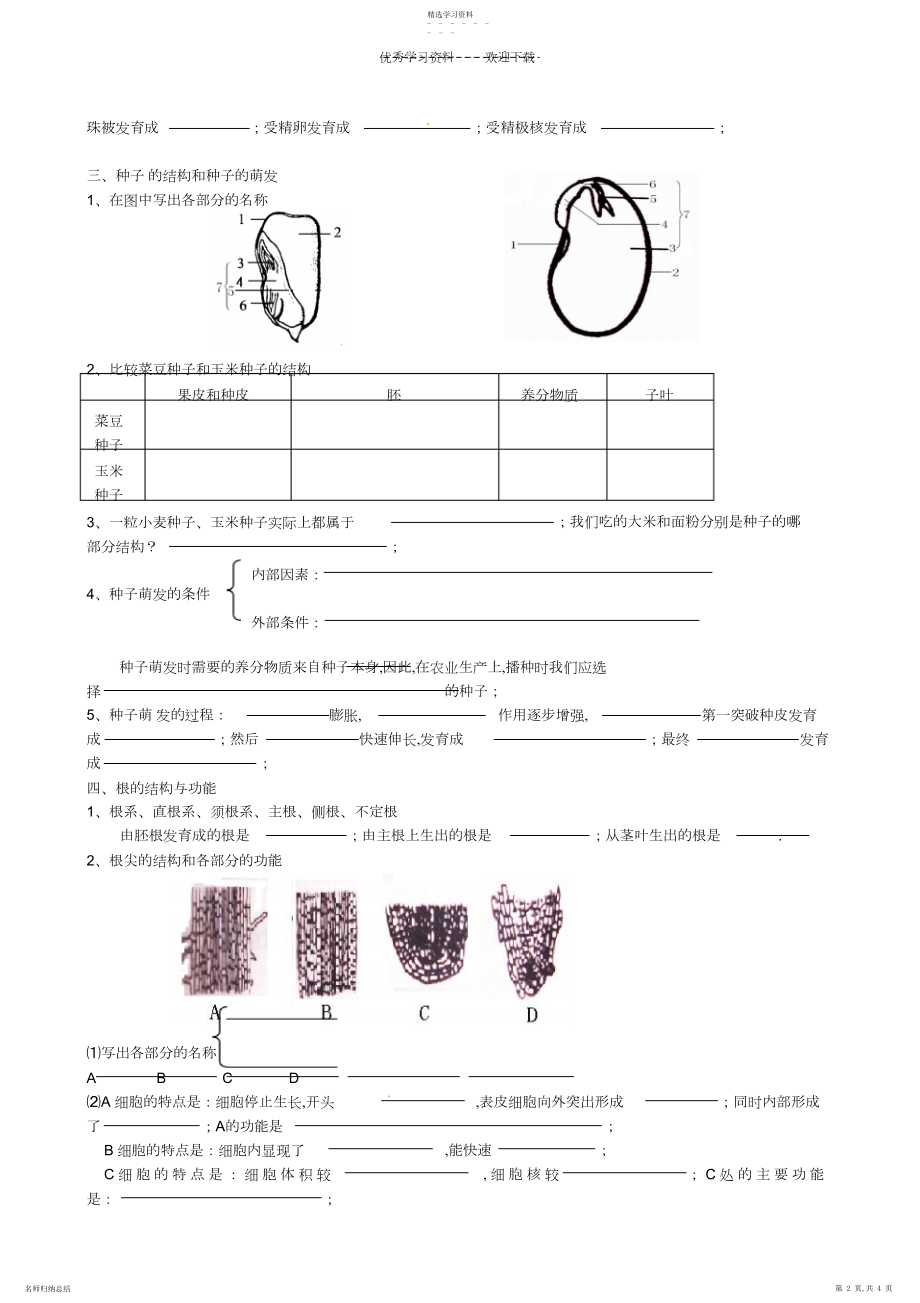 2022年山东省高密市银鹰文昌中学八年级生物上册《第一章绿色植物的一生》绿色开花植物的一生复习学案.docx_第2页