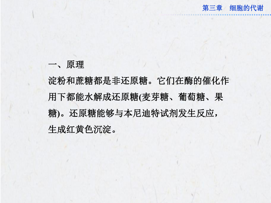 探究酶的专一性ppt课件.ppt_第2页