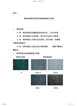 2022年除锈等级和表面粗糙度对照表 .pdf