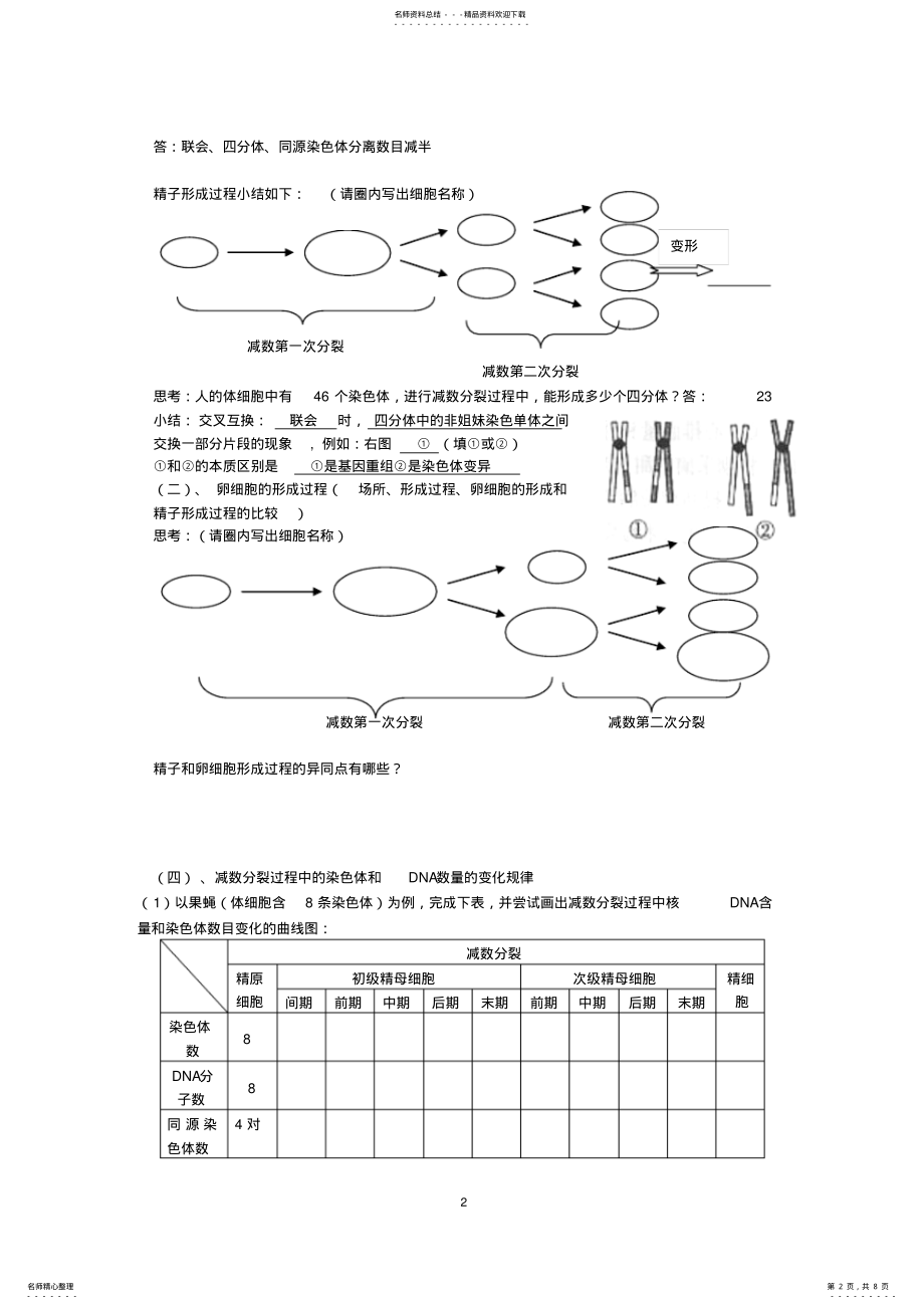 2022年高三生物一轮复习导学案减数分裂第周 .pdf_第2页