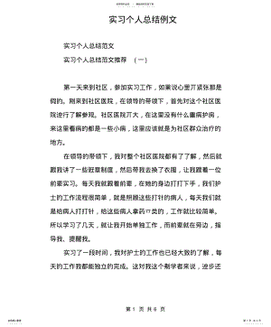 2022年实习个人总结例文 .pdf