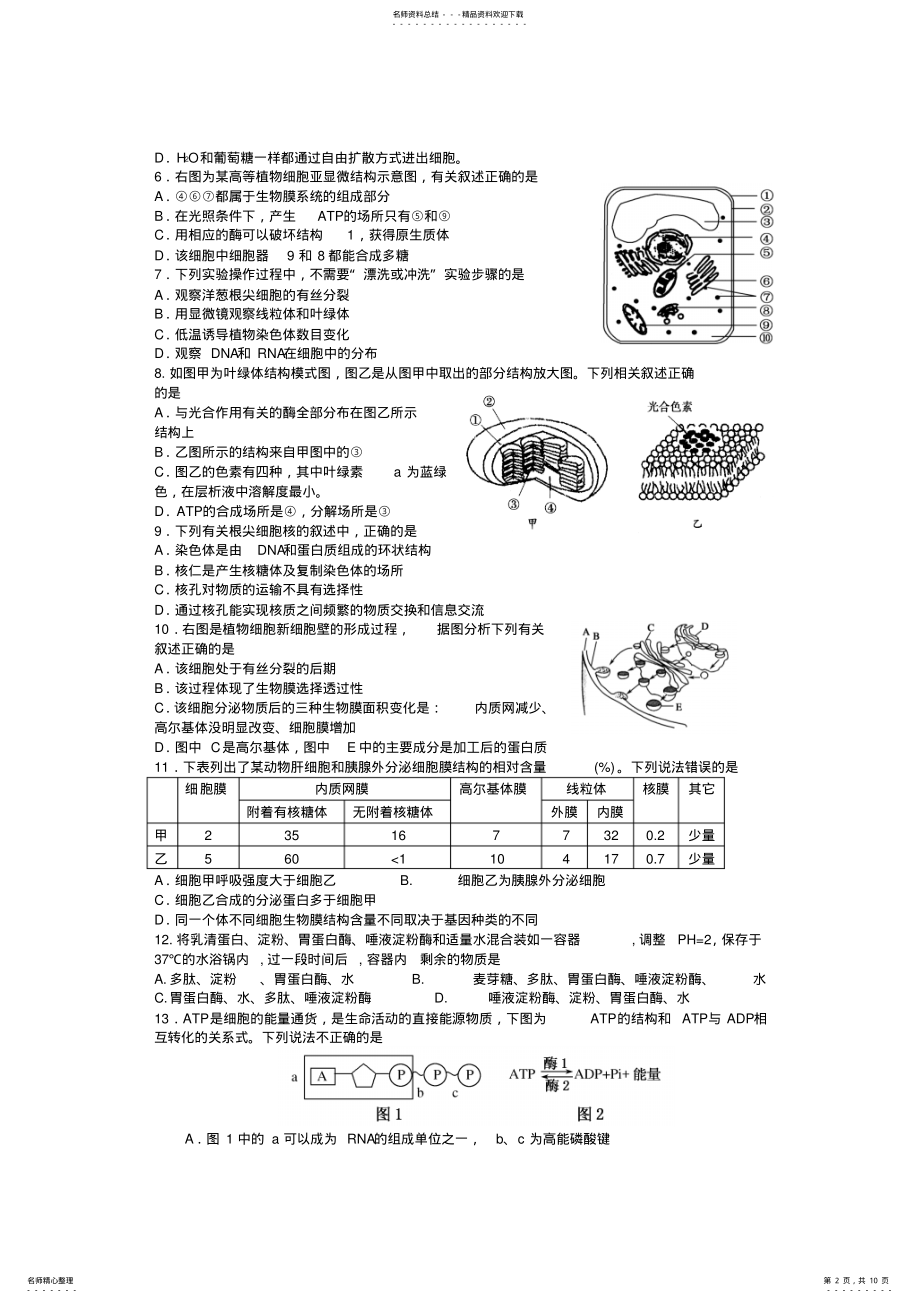 2022年师大附中高三生物上学期期中试题 .pdf_第2页