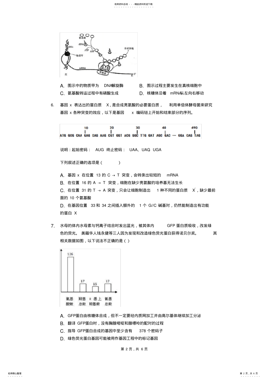 2022年高三生物专项训练试题：遗传信息的转录和翻译,推荐文档 .pdf_第2页