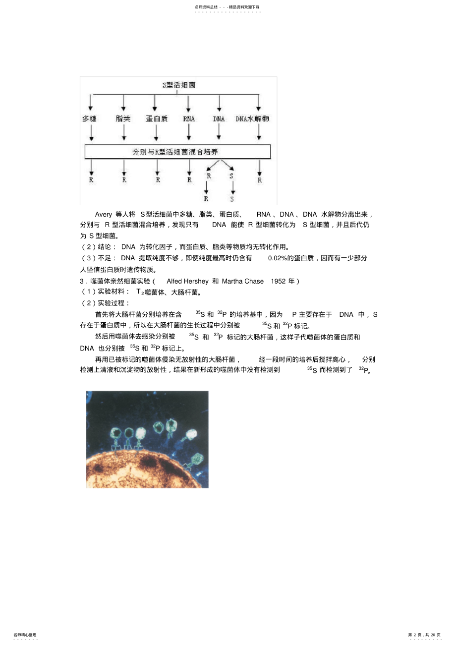 2022年高中生物奥林匹克竞赛辅导专题讲座专题八基因与分子生物学 .pdf_第2页