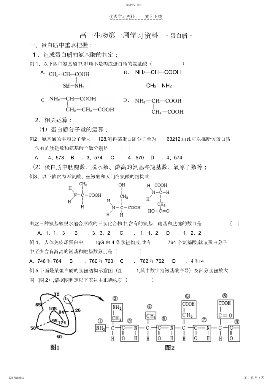 2022年高一生物专题蛋白质学习资料.docx_第1页