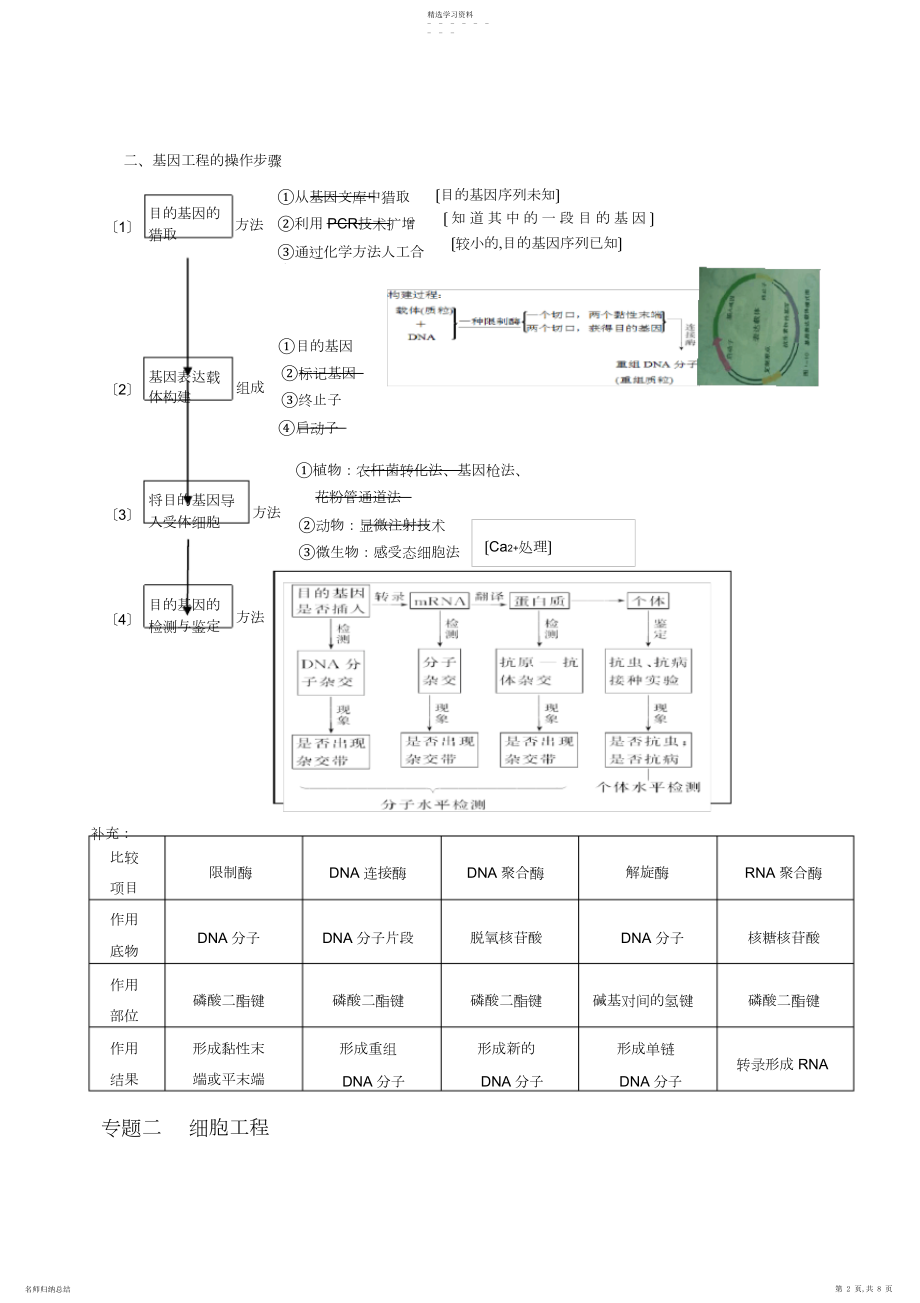 2022年高中生物教材选修三知识点.docx_第2页