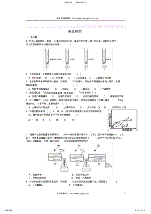 2022年高三生物光合作用练习题及答案 2.pdf